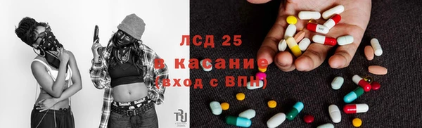 прущие грибы Дмитриев