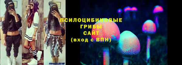 прущие грибы Дмитриев