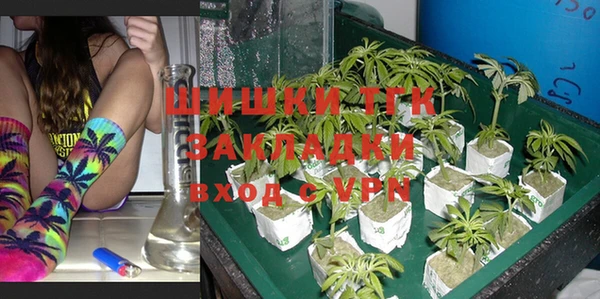 прущие грибы Дмитриев