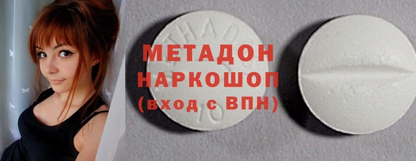 прущие грибы Дмитриев