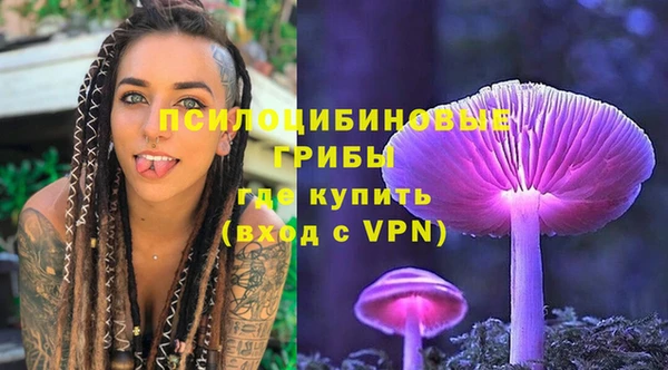 прущие грибы Дмитриев