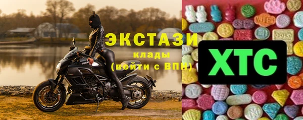 прущие грибы Дмитриев
