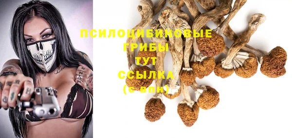 прущие грибы Дмитриев